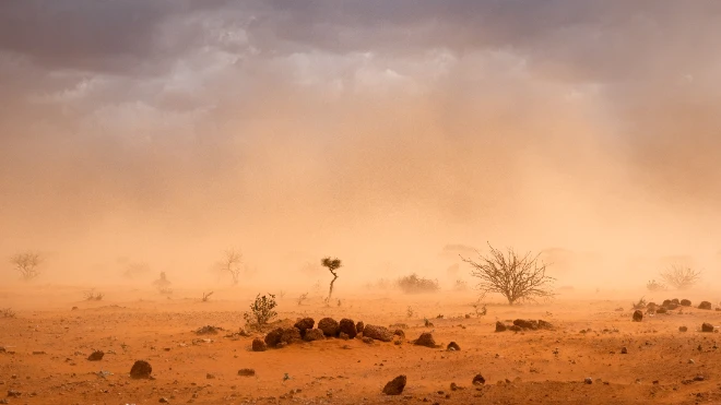 Dusty plains