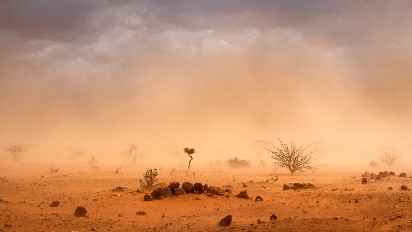 Dusty plains